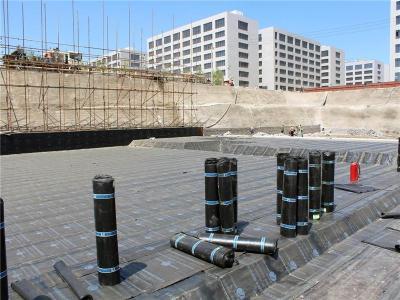 长沙防水工程公司 防水堵漏公司 防水补漏