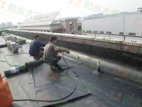 【湖南长沙pb-2防水材料产地电话湖南pb-2防水材料什么价格】-